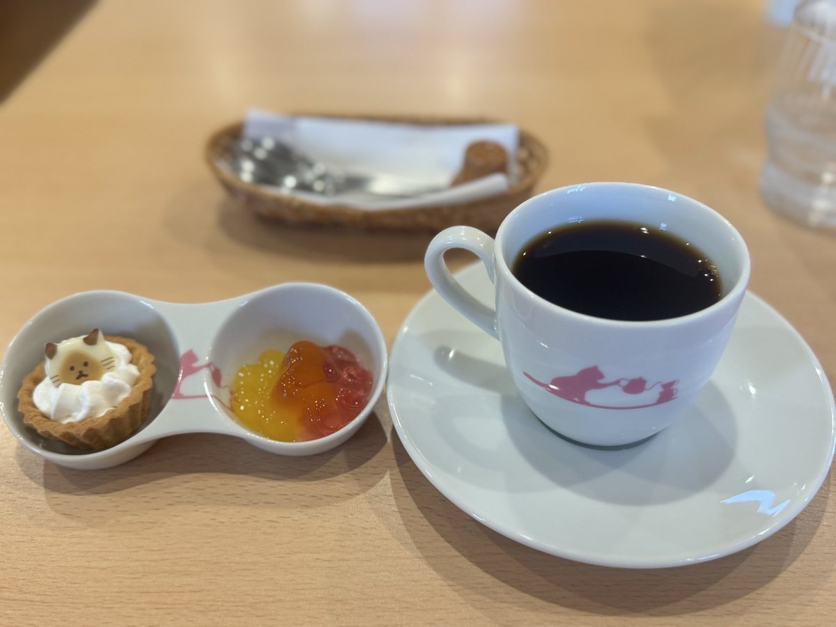 218chiharu's tweet photo. ねこぐるまに久しぶりに行ってきました
ひーくんとシゲくんのおやつを食べるパワーに驚きまーちゃんもみみちゃんも安定の可愛さでベニちゃんがいないって思ったら上のほうでカーリーと気持ちよさそうに寝ていました
ラパーマって種類のシゲ君のさわり心地はなんとも不思議でした

#ねこぐるま https://t.co/3Pi9sLyHFm