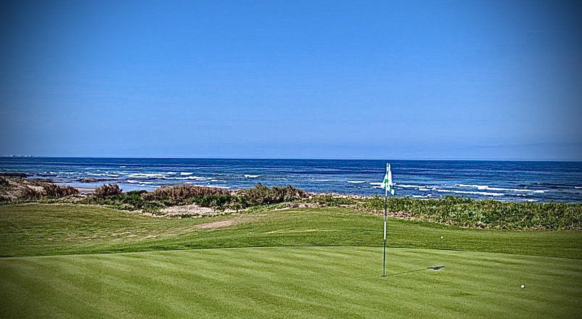 Thierry DAVID tweet media