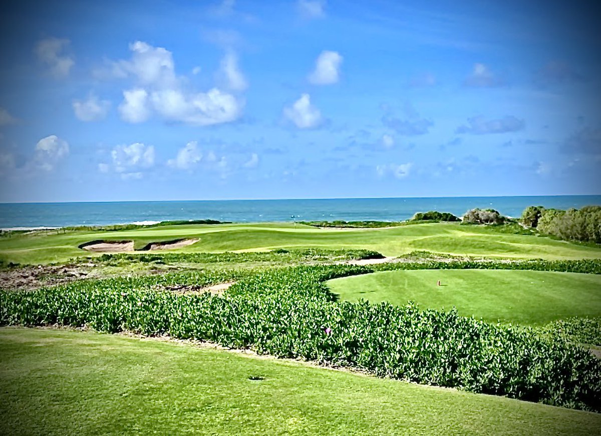 Thierry DAVID tweet media