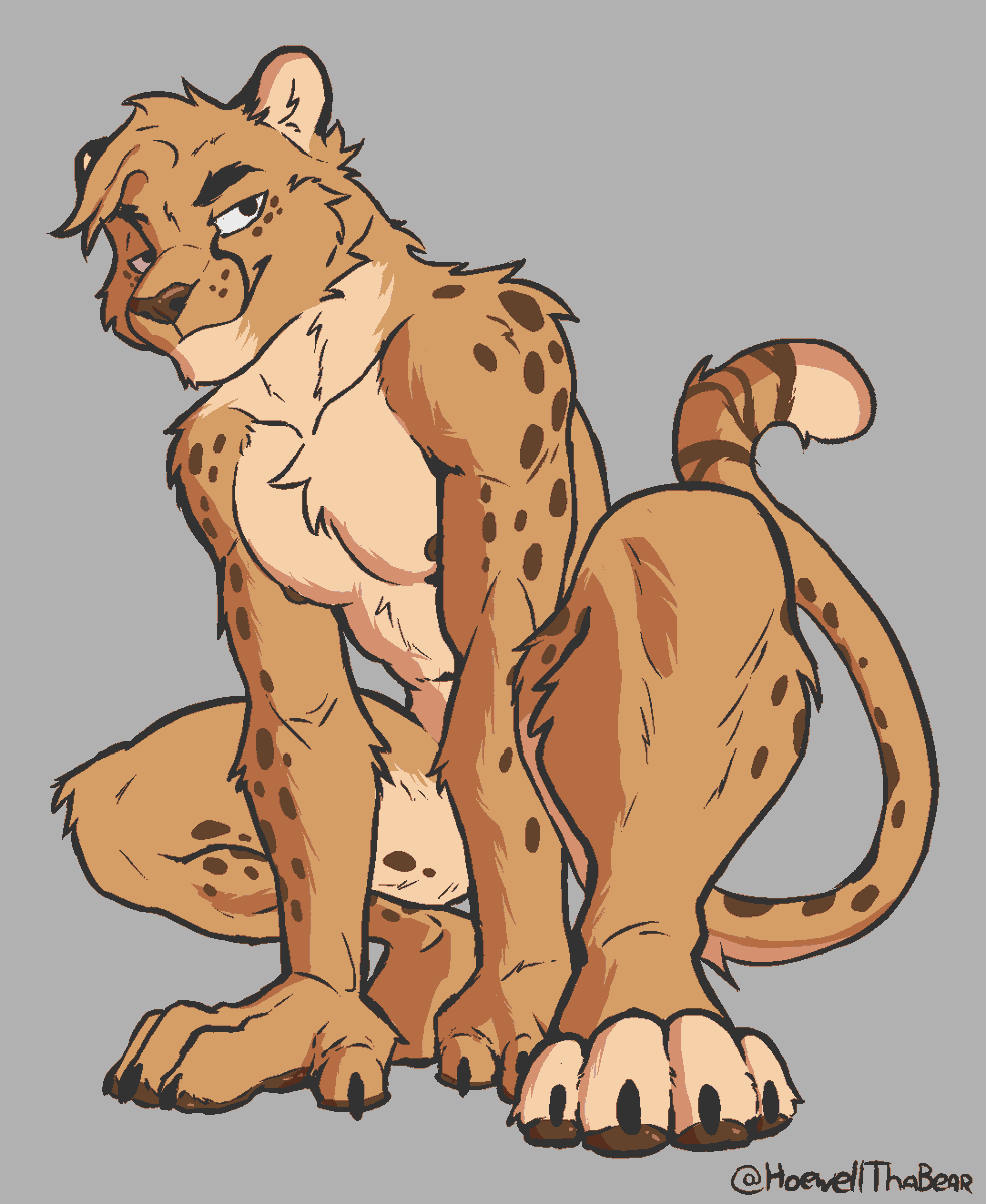 pawlar bearrr 🐾 tweet media