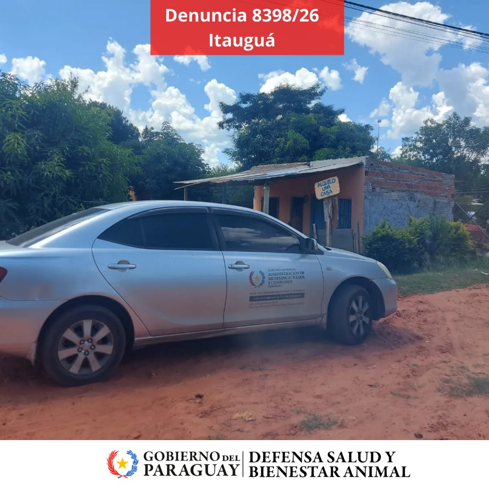 Dirección Nacional de Defensa Animal tweet media