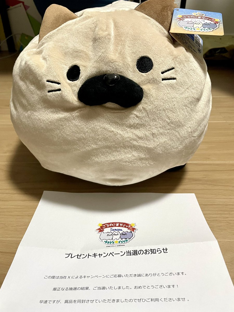 とむお@だるいぬ団2代目ボス (@Jey15559949) / Posts / X