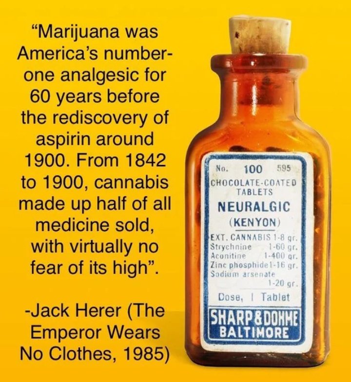 Canna World tweet media