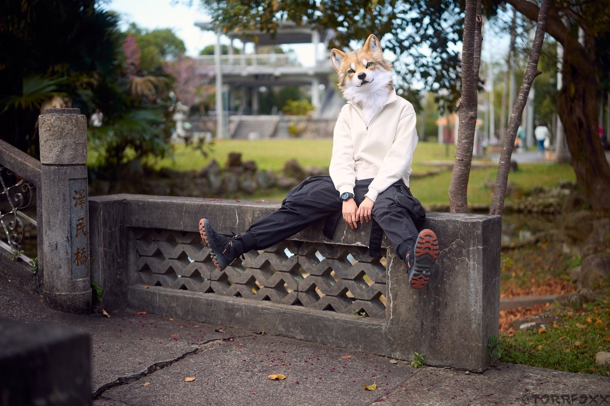 Selly GO Your Heart tweet media