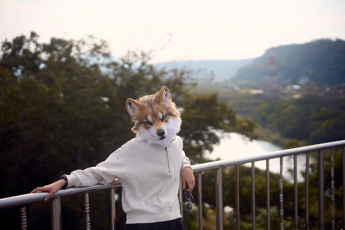 Selly GO Your Heart tweet media