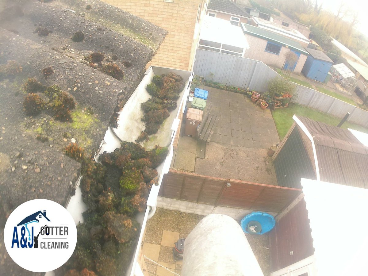 ajgutterclear's tweet photo. Today's job in north Frodingham, Plenty of moss removed from all gutters, a couple of before &amp; after pics, all sorted #Bridlington #Hunmanby #Bempton #Flamborough #filey #Driffield #Hornsea #beverley #Withernsea #gutterclearing #kelk #eastyorkshire #beeford https://t.co/9TdETTI9aI