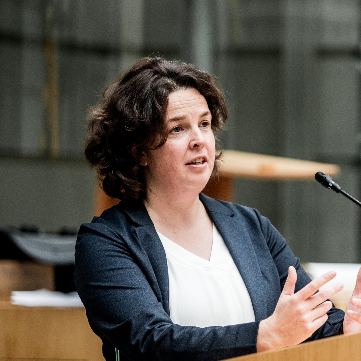 N-VA Vlaams Parlement tweet media