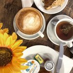 Photo by New Forest Card (@GoNewForestCard)