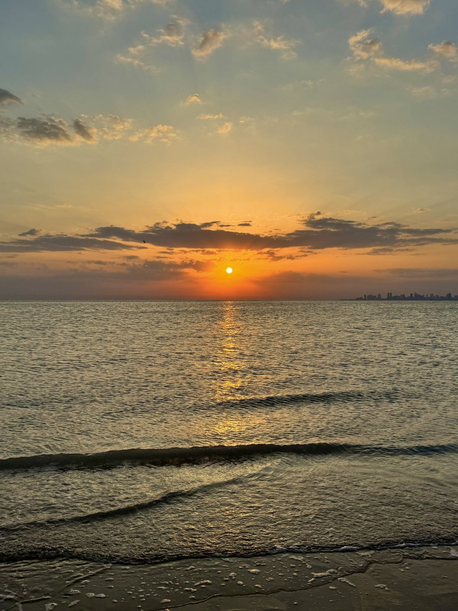 Manal Afaneh tweet media