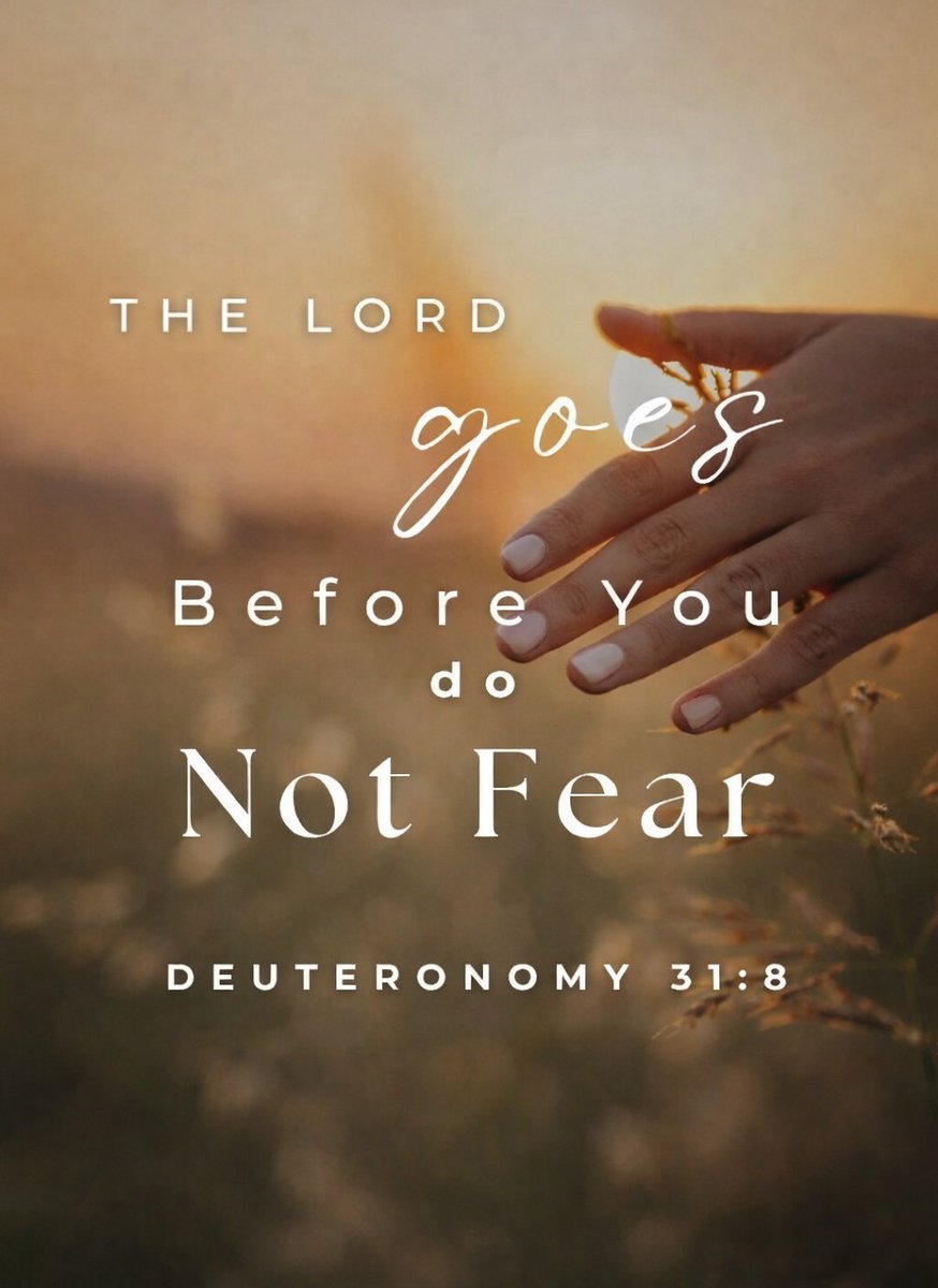 Deuteronomy 31:8