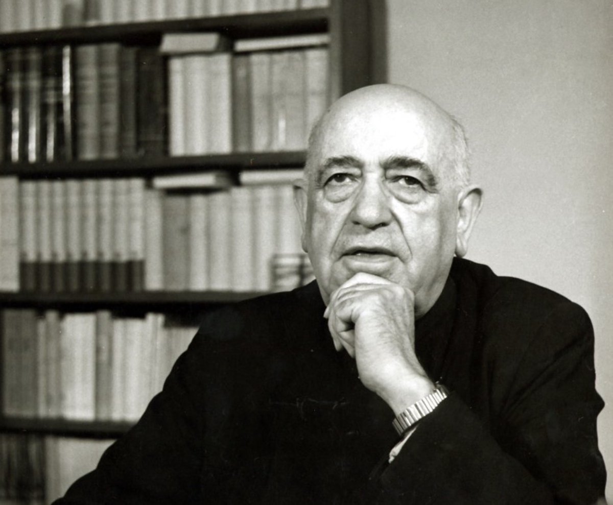 OMP España tweet media