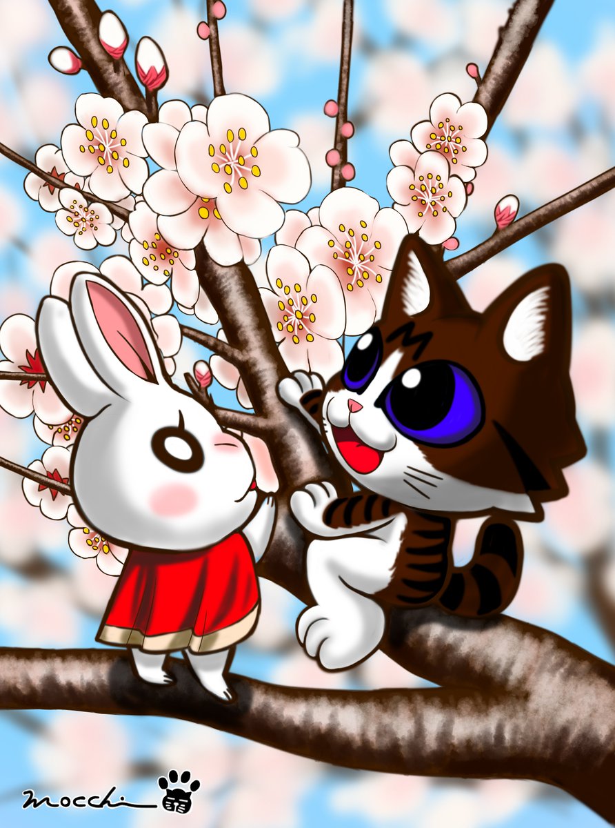 もっち（mocchi） (@mocchimocchi09) / Posts / X