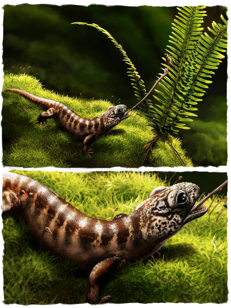 Ekhyl - Wildlife/Paleo Illustration tweet media