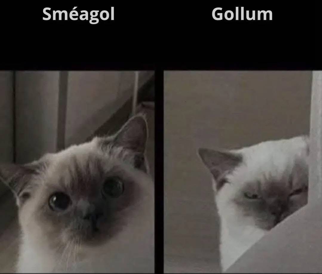 Fantasy Galaxies🌌 tweet media