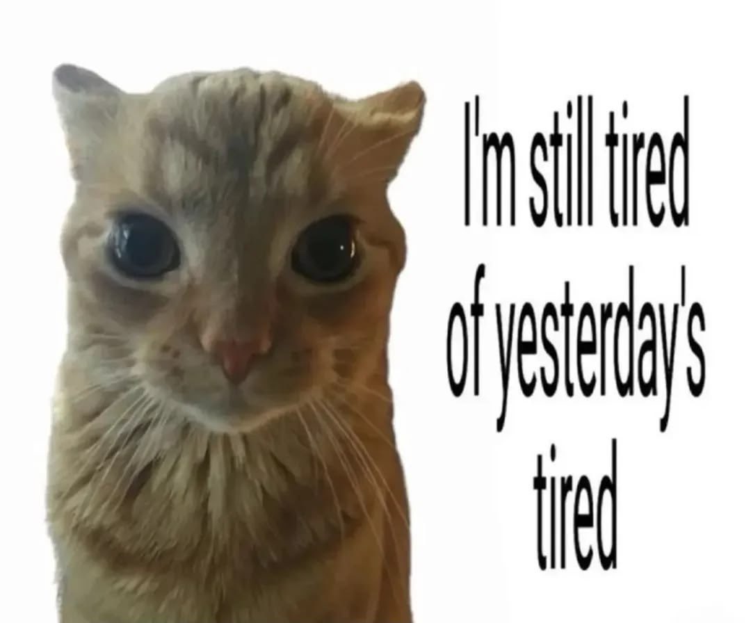 Dante (@imydante) on Twitter photo 