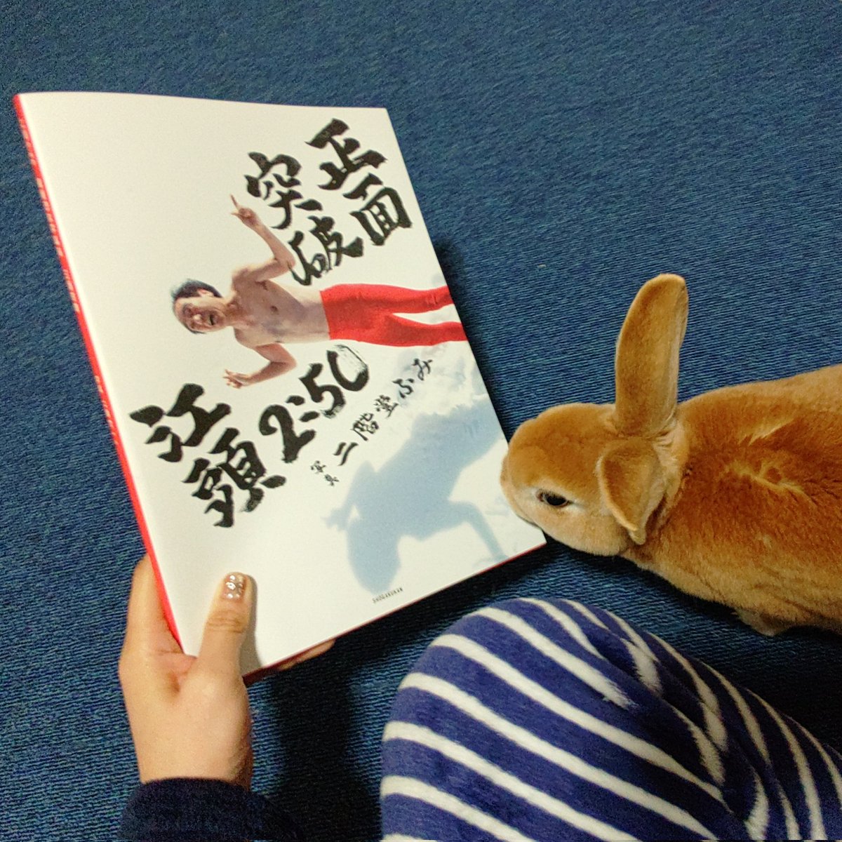 ついに私の手元にも！！！モザイク多めの写真集が！！！ エガちゃんの