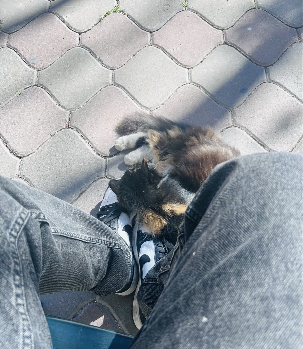 Efendim saygısızlık olmazsa kalkabilirmiyim ☝️