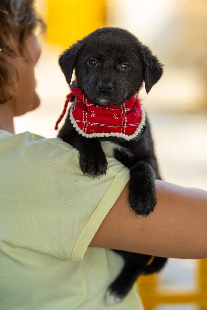 ViewFromShikhar's tweet image. Share something looking at you