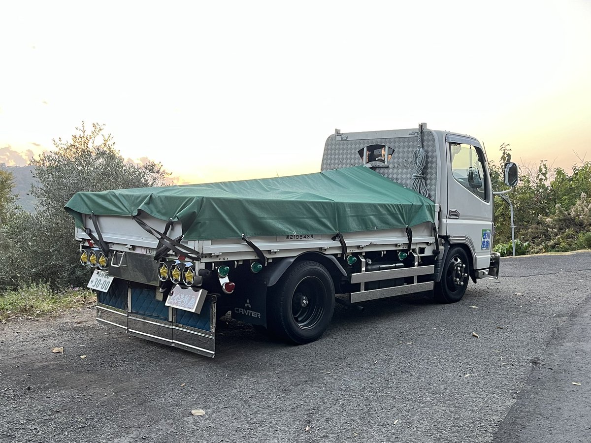 たいせい tweet media