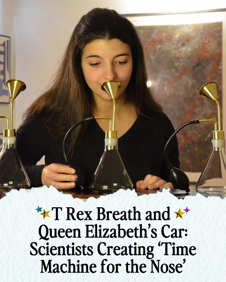 STEM Gems tweet media