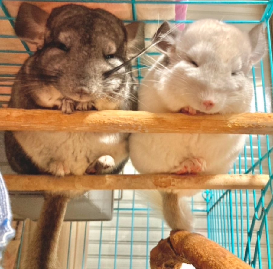 #自分が気に入ってる写真を1枚選んで無言で貼る