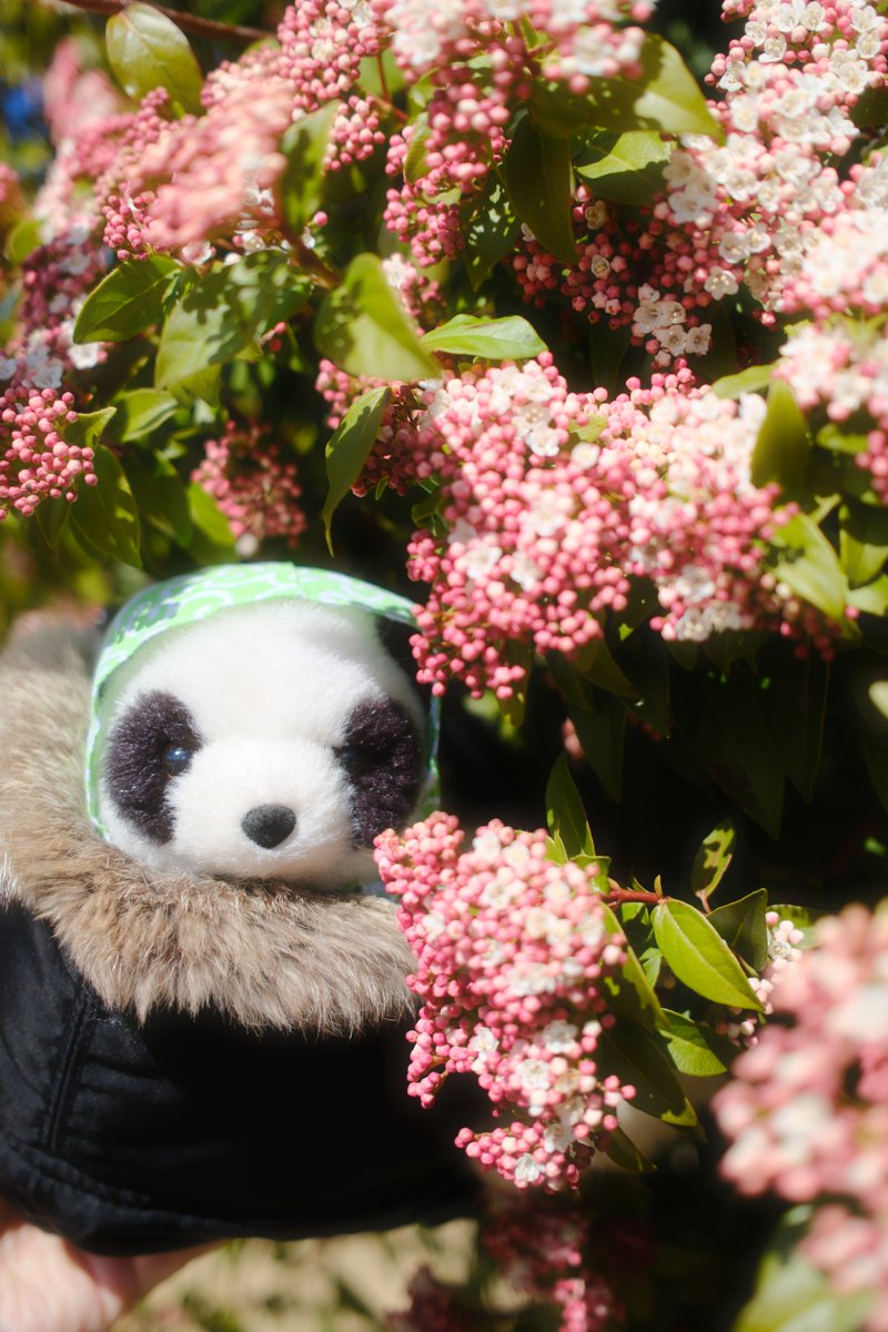 ふともも手帖 tweet media