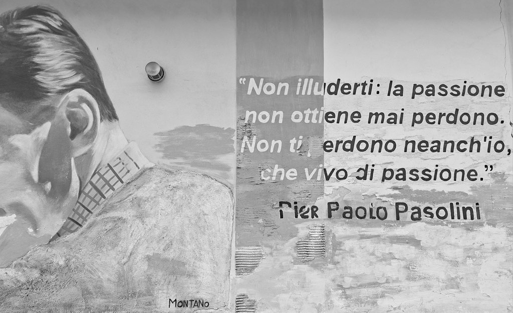 Francesca🌻 (@FrancescaD73124) on X