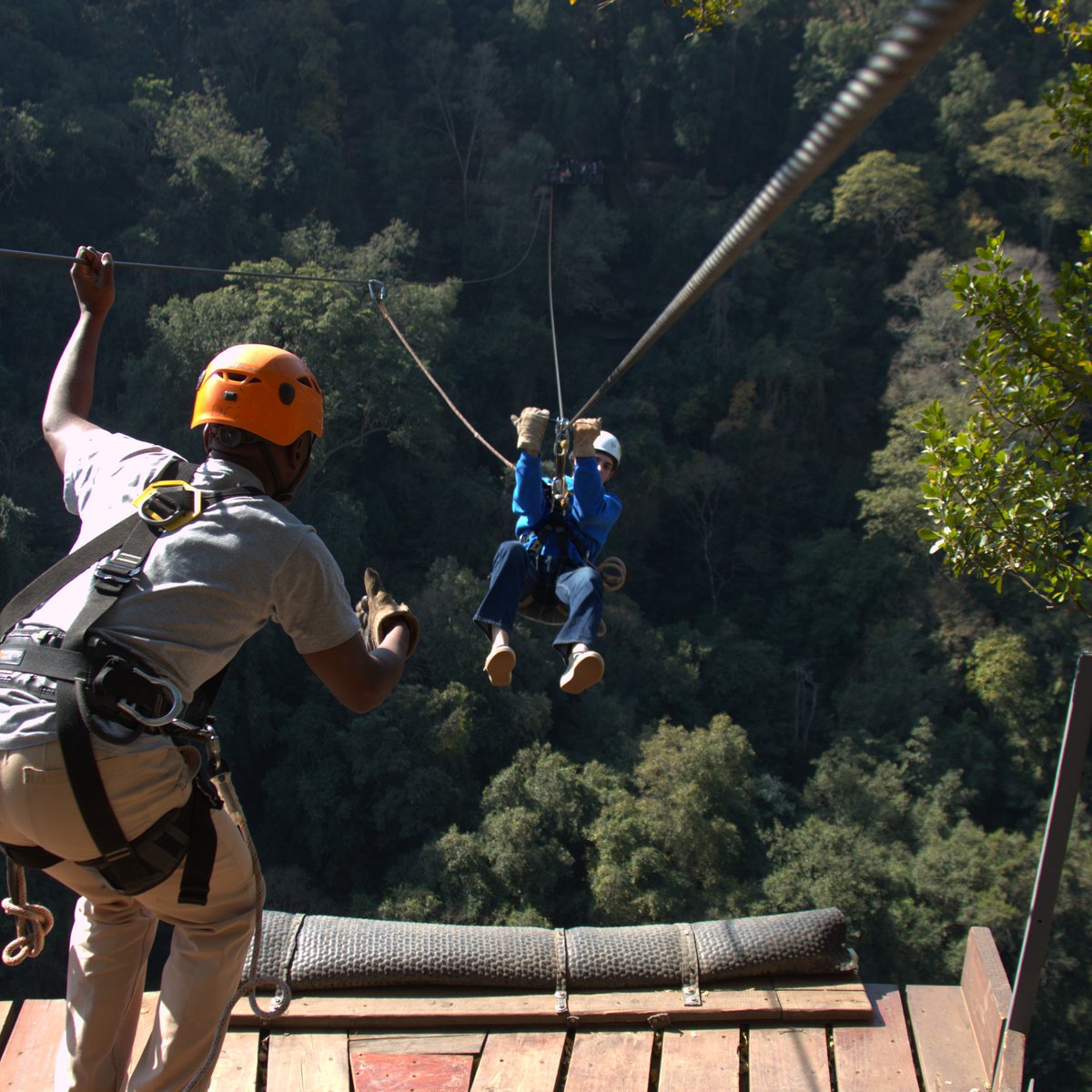 Canopy Tour SA tweet media