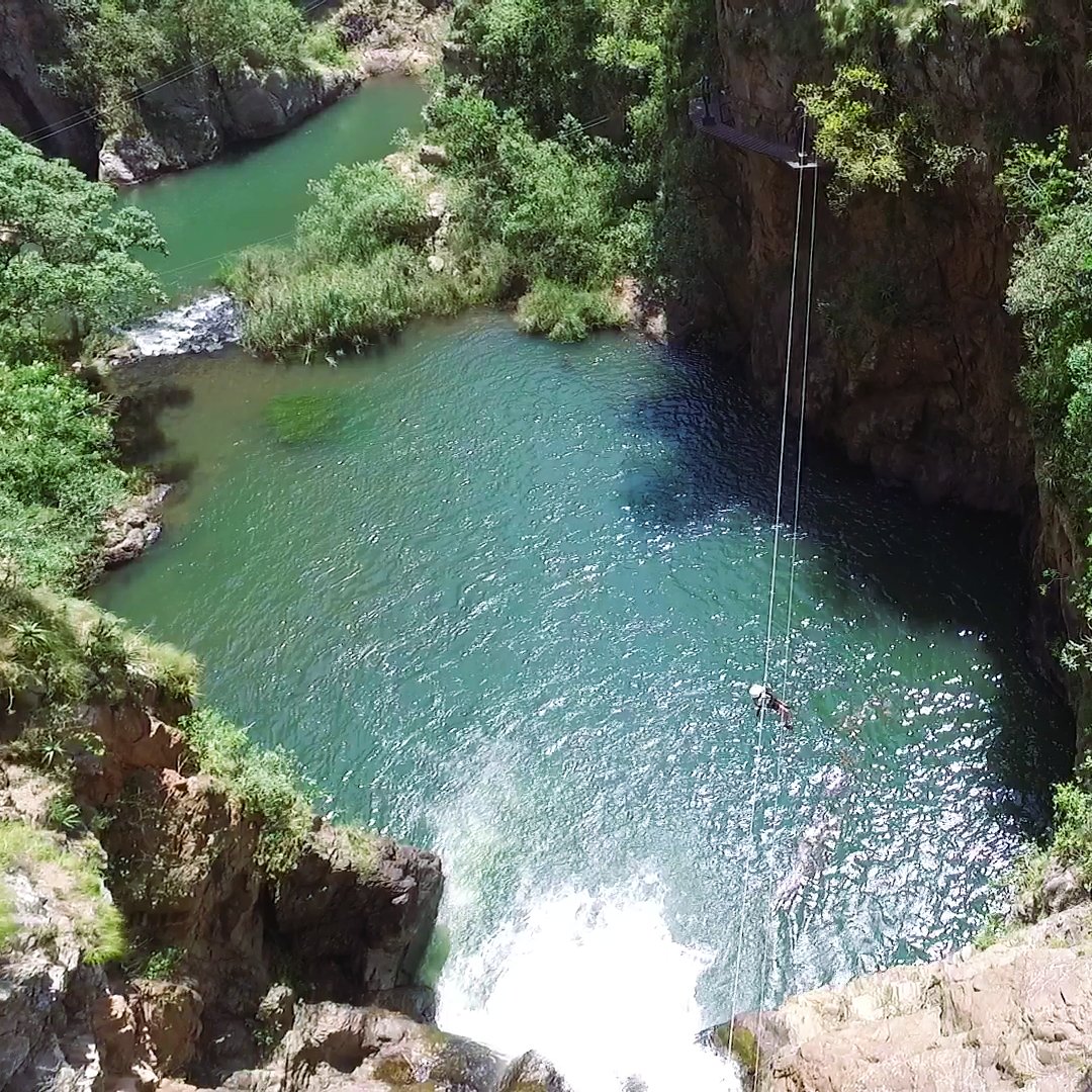 Canopy Tour SA tweet media