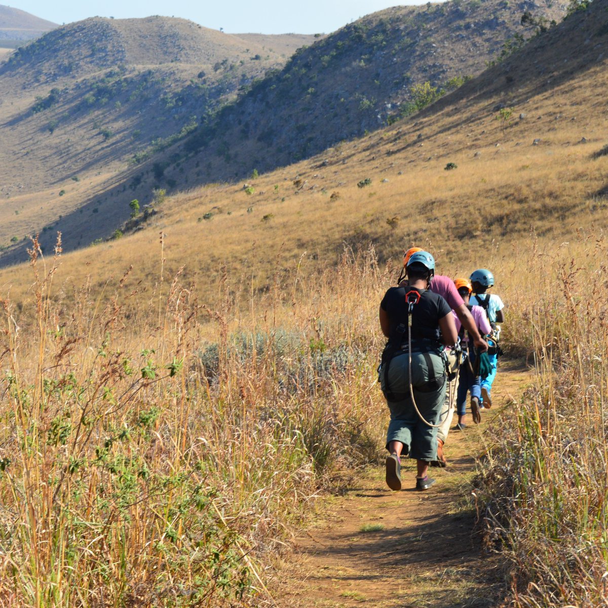 Canopy Tour SA tweet media