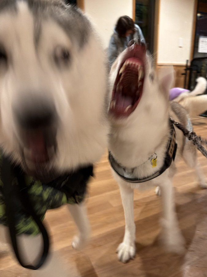 ☣Fiona☣ tweet media