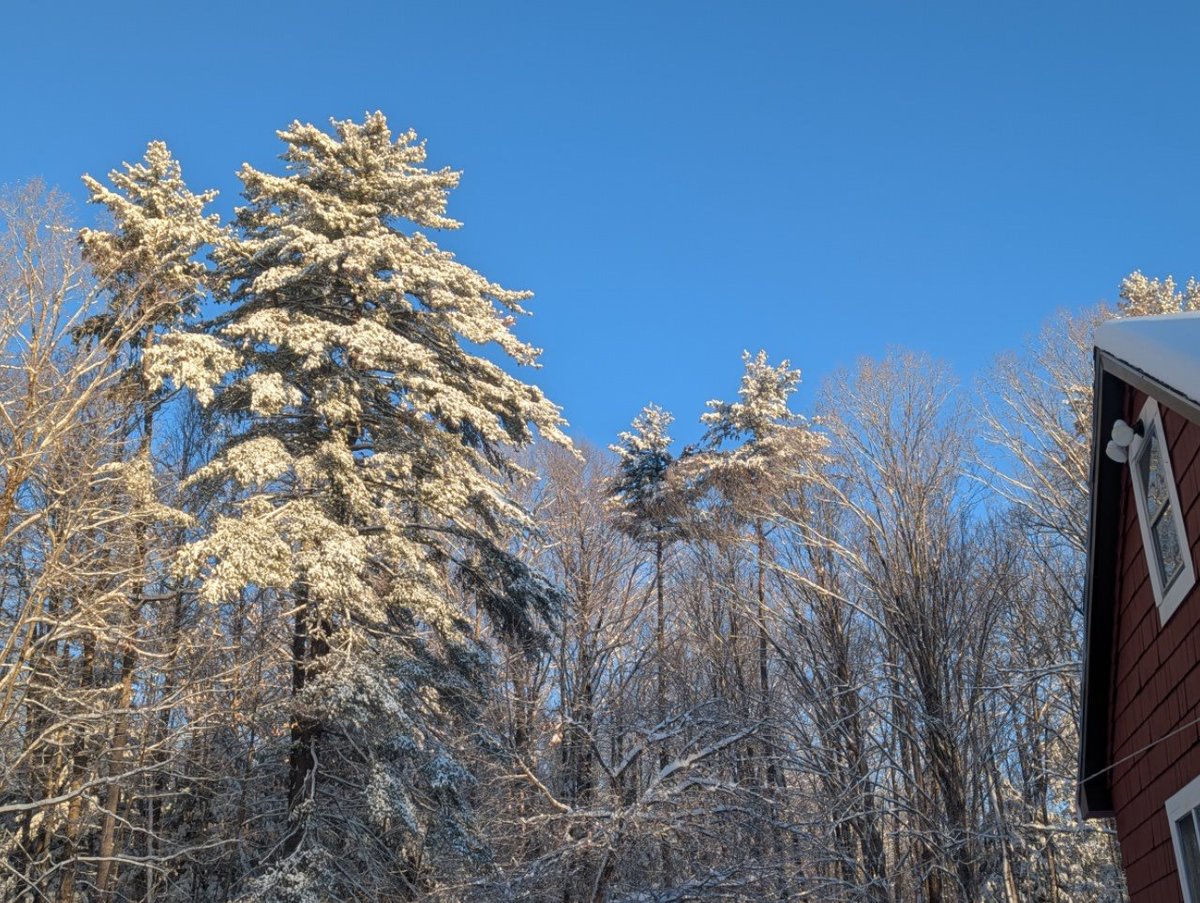 Senator Tim Lang tweet media