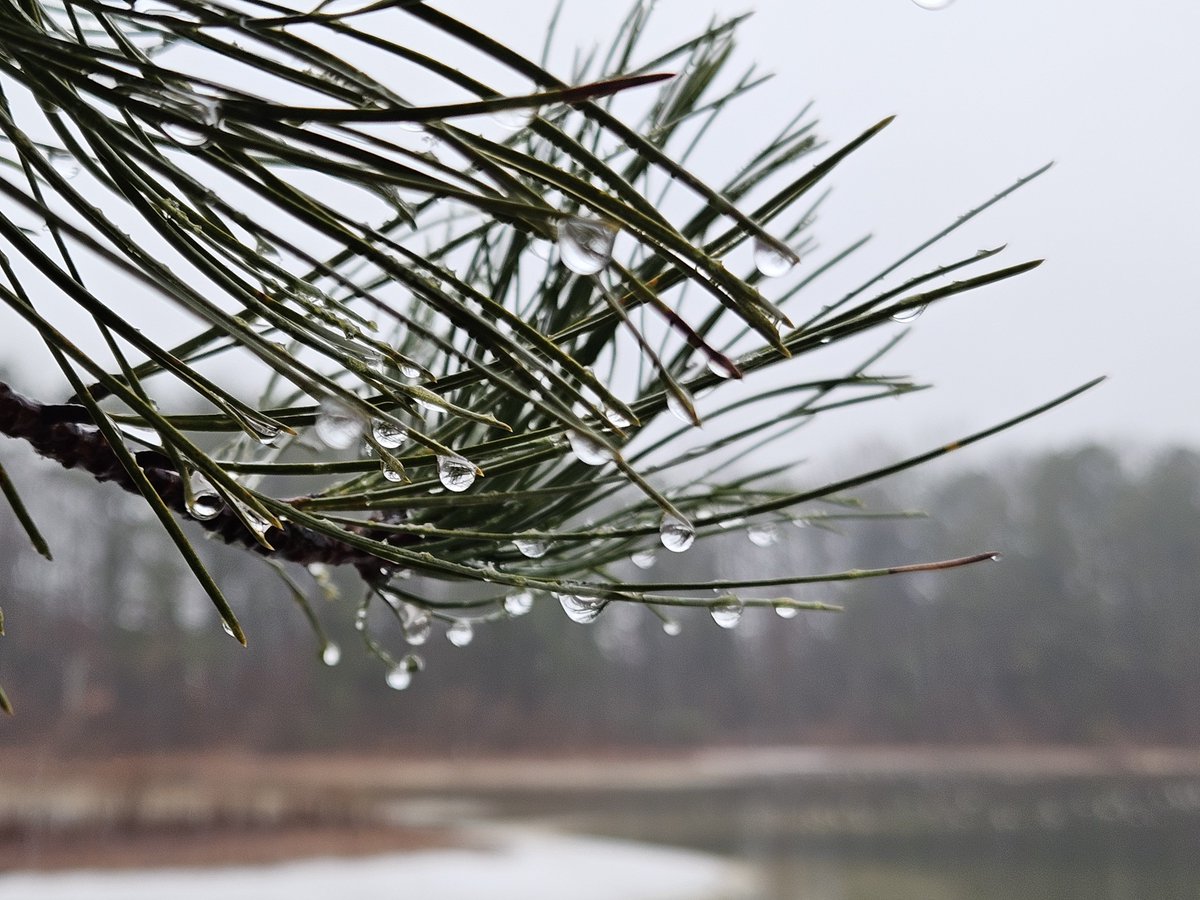 Dave 1411 tweet media