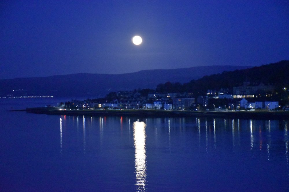 Jack Montgomery Writer tweet media