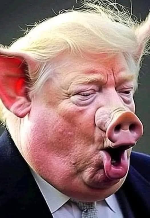Muhamma90735911's tweet photo. No olvidéis que la derecha ultrapatriota le come las 💩💩 a esta escoria humana. https://t.co/pX6AhVfgdy