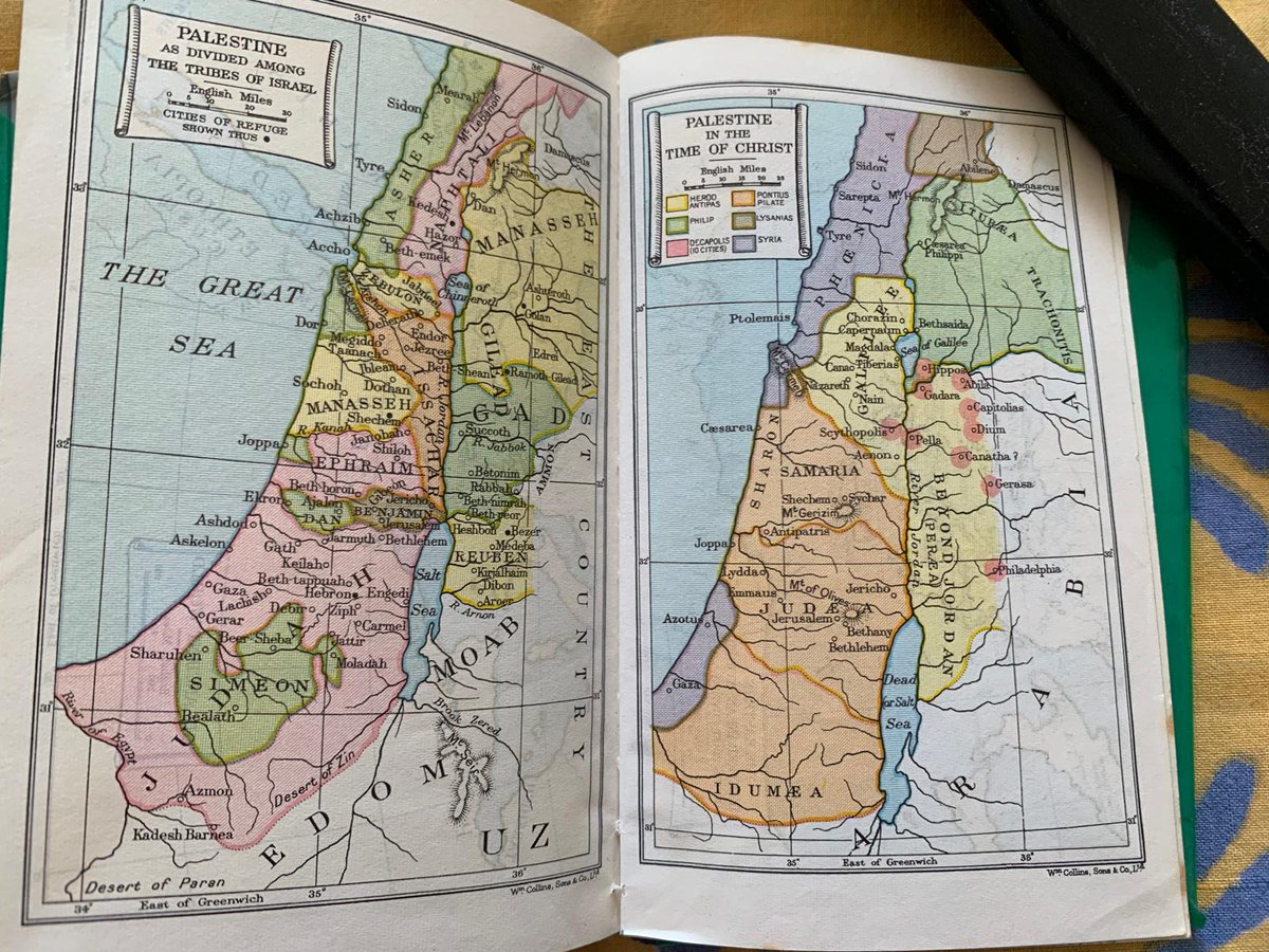 Annie Shaw tweet media