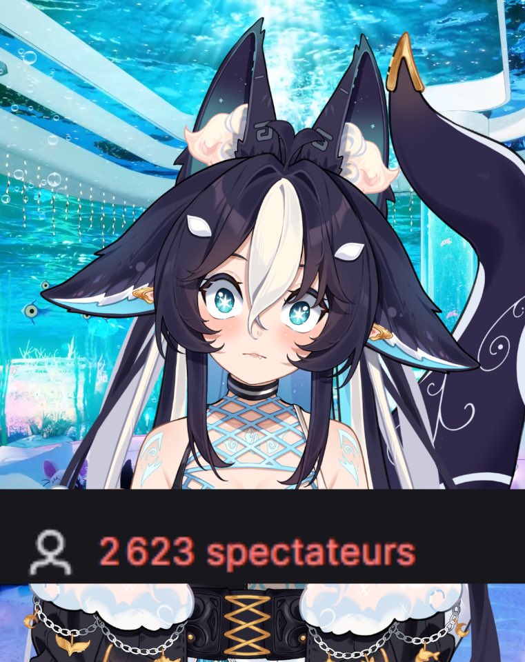 MiiOrca 🌊EN PLEINS DONATHON 🌊🐋 tweet media