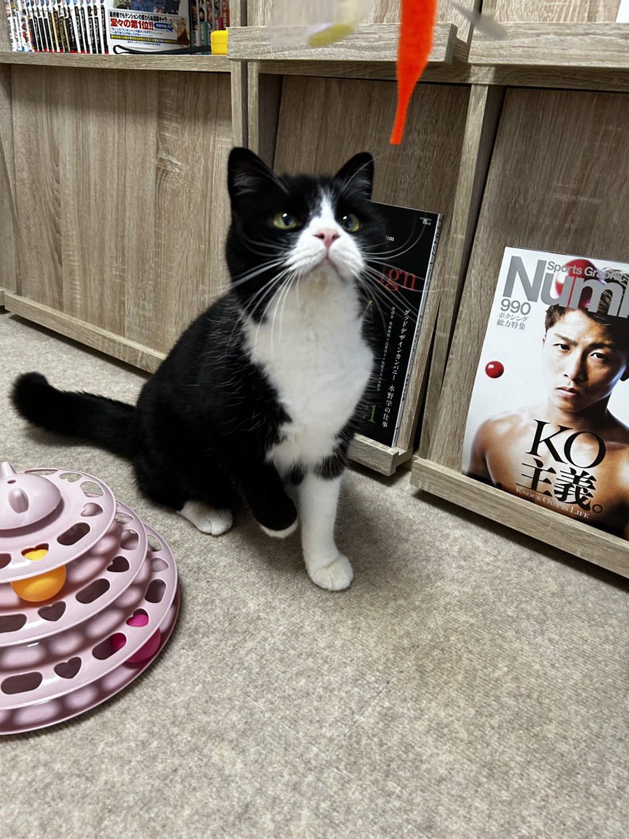 たろう (@taro20216) / Posts / X