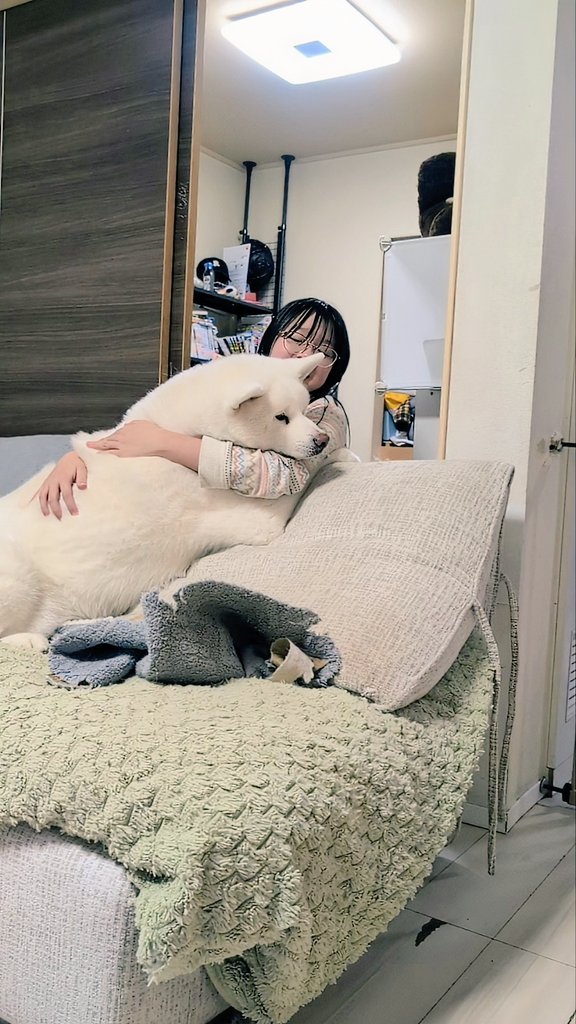 秋田犬こゆきと愉快な仲間達 (@kodomo4dog5) / Posts / X