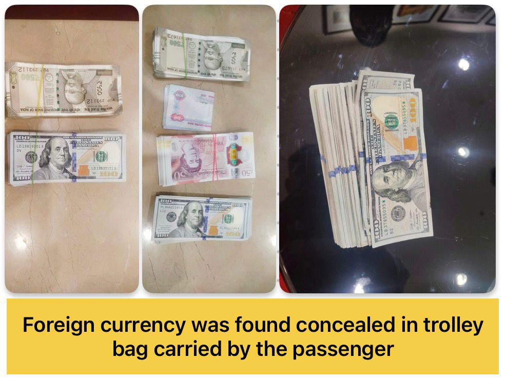 mumbaicus3's tweet photo. During the period from 24.02.2026 to 02.03.2026, officers of the Airport Commissionerate, Mumbai Customs Zone–III effected significant seizures. A total of 455 carats of natural and lab-grown diamonds valued at Rs.94,97,300/-, foreign and Indian currency equivalent to Rs.32,85,668/-, 21 Kt Gold Broken Jewellery having net weight 160.790 grams valued at Rs.21,51,473/- and 1203.69 carats of Cut & Polished Natural Emeralds, Rubies, Blue Sapphires, Amethyst, Prasiolite and Multi valued at Rs.15,16,127/-, 44.292 kgs of suspected NDPS (Hydroponic Weed) valued at approximately Rs. 44.292 crores in the illicit market and 299 grams of an NDPS substance purported to be methaqualone, having illicit market value of Rs.74,75,000/- were seized.