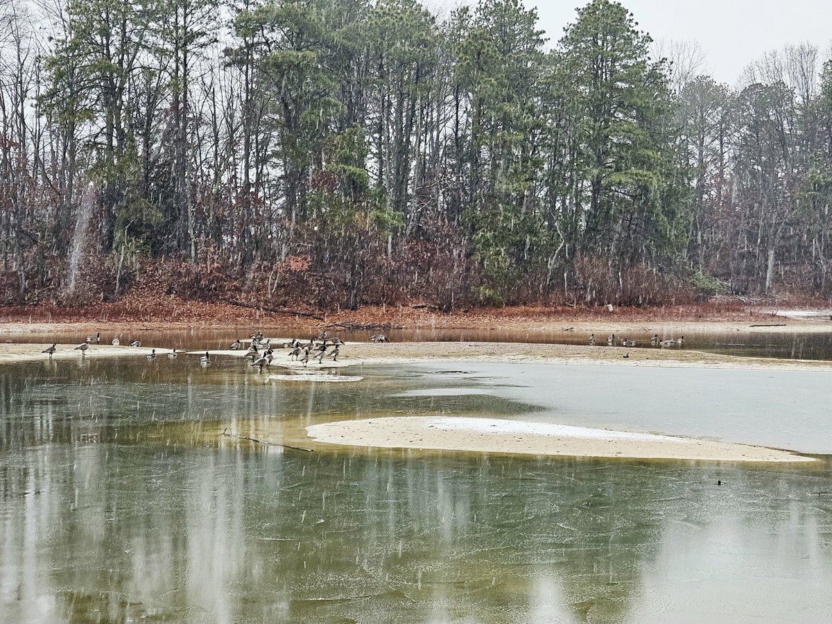 Dave 1411 tweet media