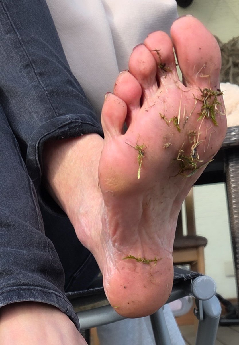 Isabel Lis tweet media