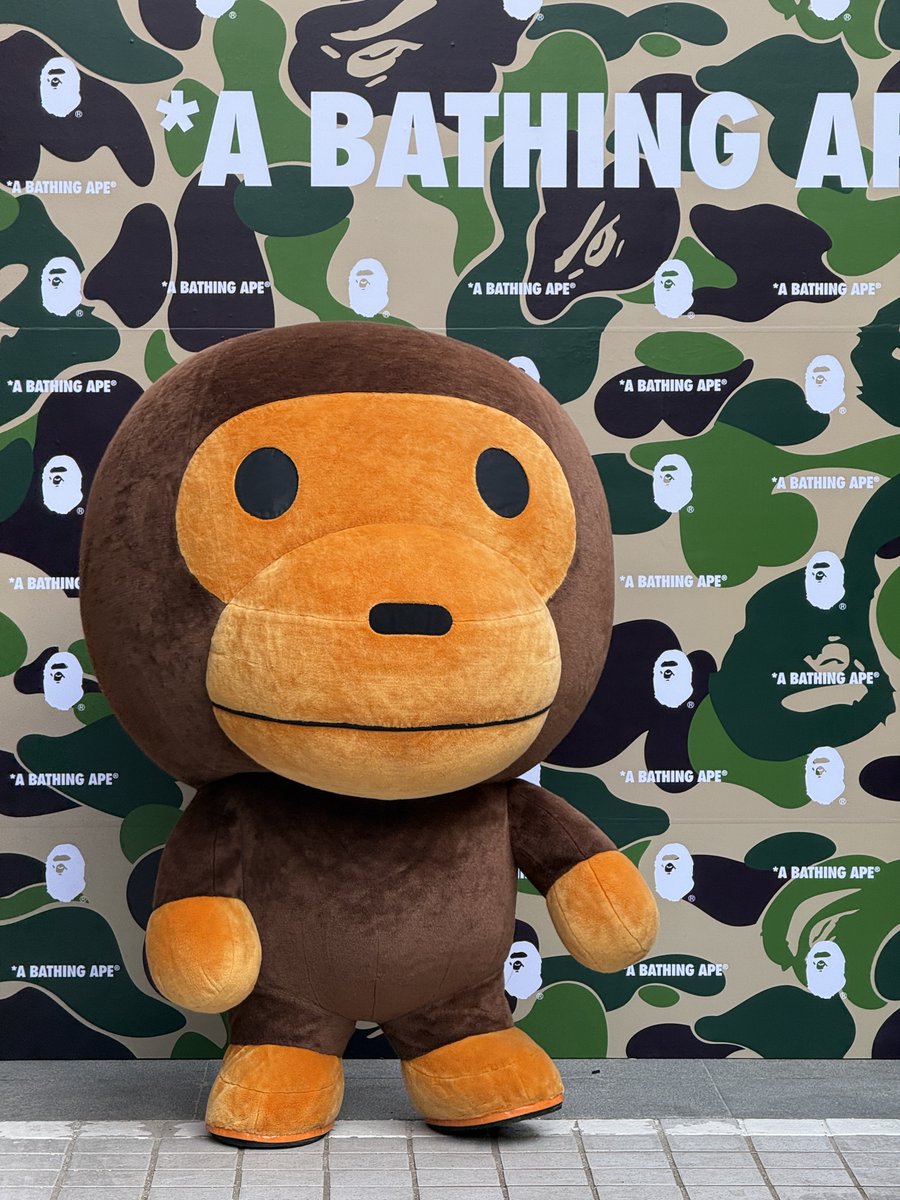 mu.·⑅ tweet media