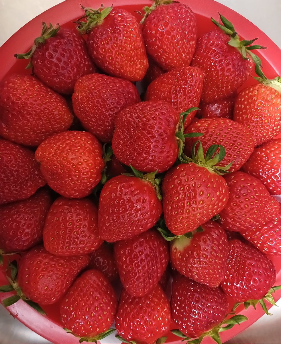 mintcryp's tweet photo. 대전 중앙시장 옥천식당
오징어 두루치기, 돼지 두루치기~
시장 안에 있어서 재료가 신선하고
불맛도 많이 납니다람쥐!
#대전은 #두루치기 #맛집 순례자 https://t.co/3h0T3QS5sF