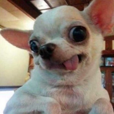 ɐ ɔ ı p ɐ tweet media