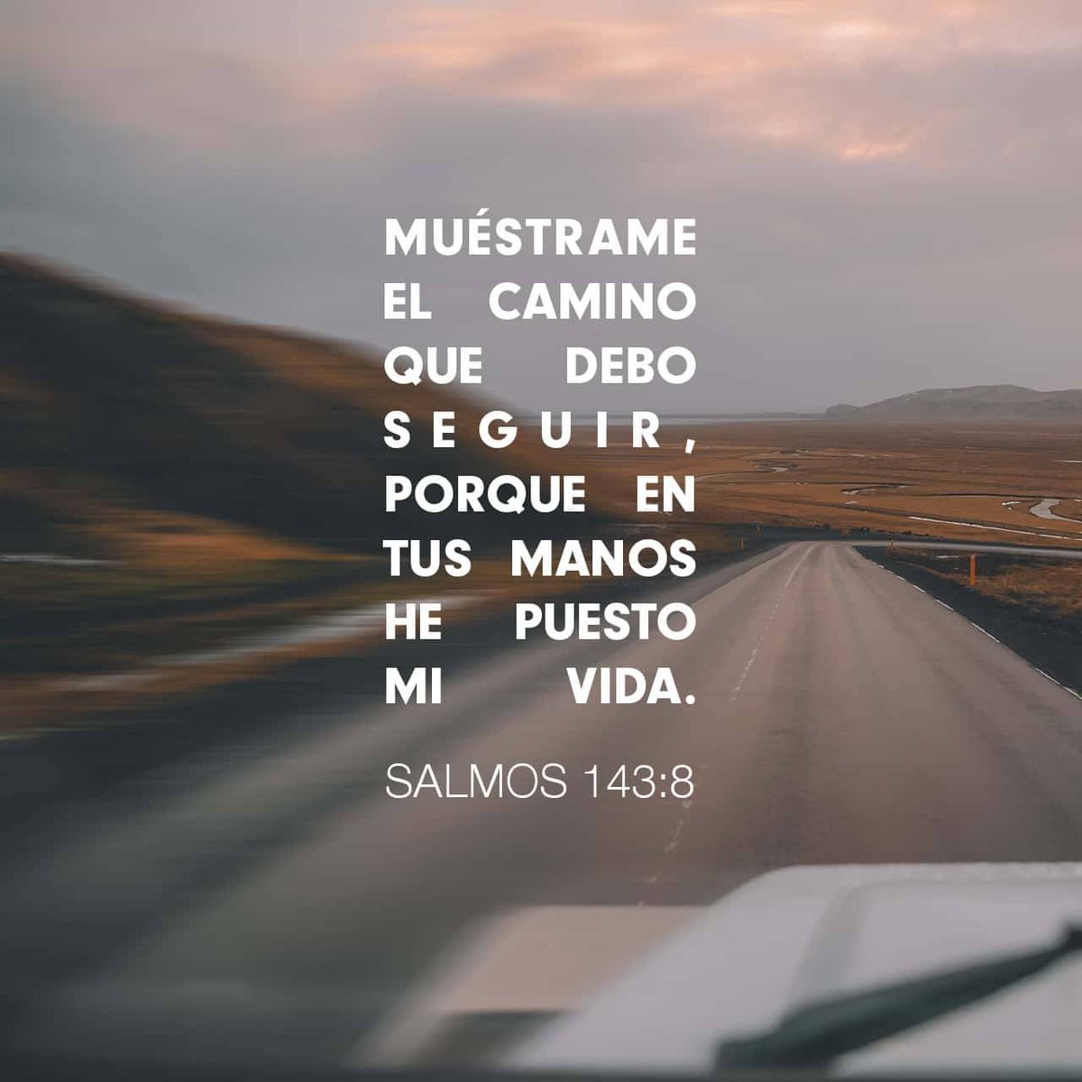 ¡Cuán apropiada es la primera hora de la mañana para la devoción, para la meditación en la amante bondad del Señor! Hazme saber.