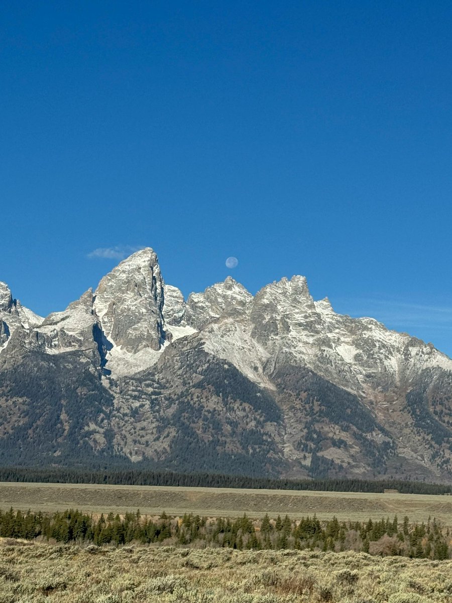 🍃
الصبر جميل، وثمرته أجمل..
مهما طال الليل فالفجر آتٍ بإذن الله..
اصبر وأنت مطمئن أن الله لا يضيع أجر الصابرين..
كل دمعة صبر تُروى بها جنتك..
اللهم اجعلنا من الذين صبروا واحتسبوا ✨️💫