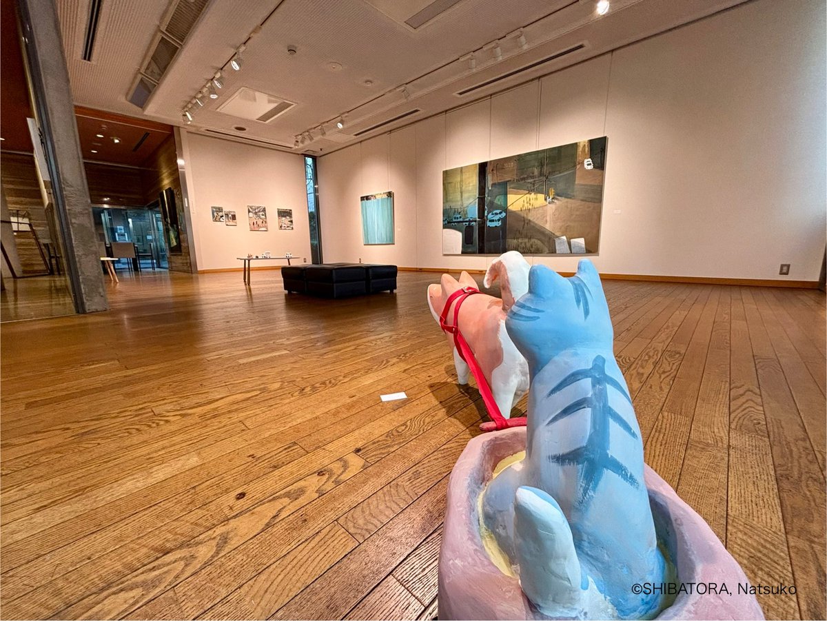 明日から！ボリューム◎の個展が始まります🐾

個展「柴犬とトラネコ 物見遊山」

JR国立駅から徒歩2分

シニアの柴犬と半身不随の保護猫「#柴犬とトラネコ  」コンビが街を行く🐕🐈🐾🐾🐾🐾🐾

会場: 東京/ コート・ギャラリー国立　
会期: 2026年3月5日(木)～3月17日(火)
営業: 11:00～18:00