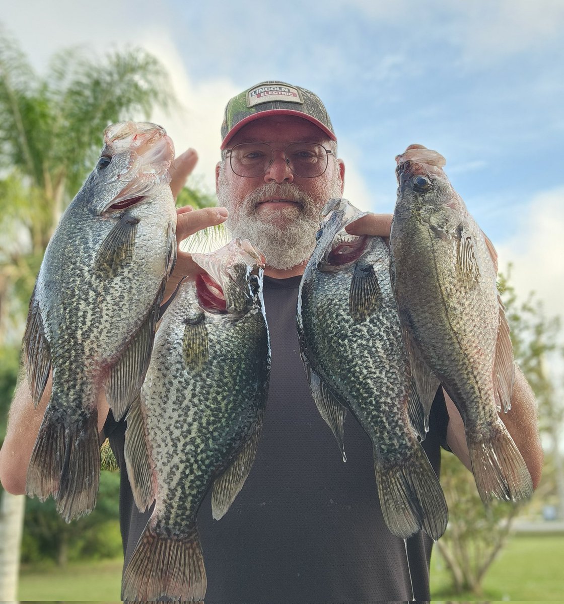 RealFishTales's tweet photo. It's been a good crappie season,  hopefully you got to get out and catch a few good ones. https://t.co/paFP7bk5Kd