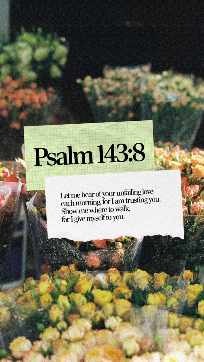 Rachel Storment tweet media